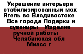 Украшение интерьера стабилизированный мох Ягель во Владивостоке - Все города Подарки и сувениры » Изделия ручной работы   . Челябинская обл.,Миасс г.